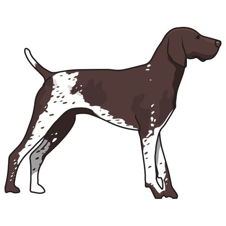SIGNMISSION German Shorthaired Pointer Dog Decal, Dog Lover Decor Vinyl Sticker D-12-German Shorthaired Pointer